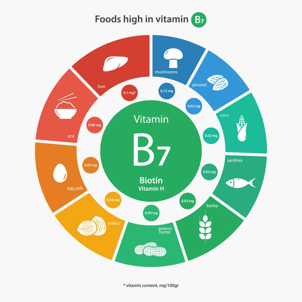 foods high in biotin vitamin b7