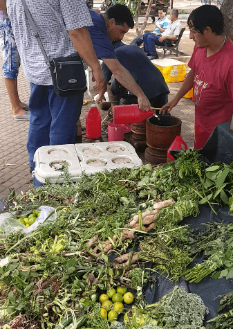 freshly prepared terere by a street vendor