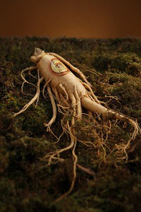 ginseng for hair growth