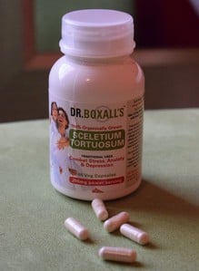 sceletium tortuosum buy capsules