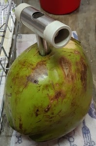 fresh coconut water abridor