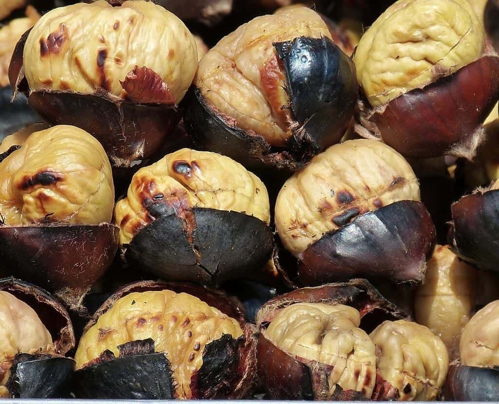 chestnuts health benefits nutrition