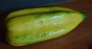 Babaco Fruit