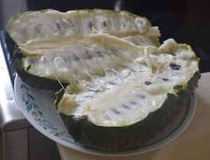 guanabana fruit ecuador