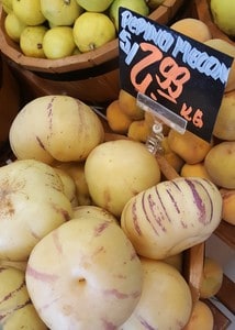 pepino melon