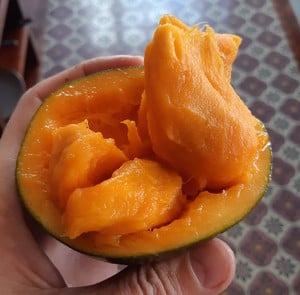 sapote exotic fruit ecuador