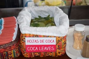 coca leaves