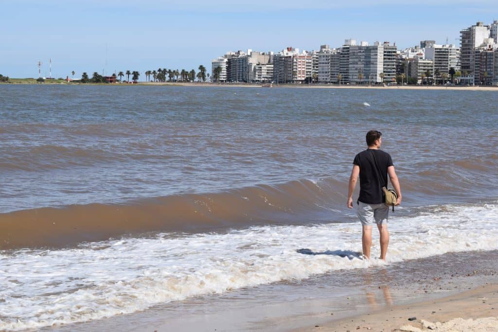 Pocitos Beach Montevideo