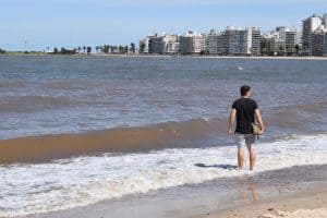 Pocitos Beach Montevideo