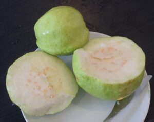 guava malaysia