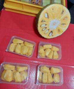 jackfruit ripe malaysia