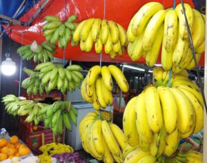 pisang banana malaysia exotic fruit